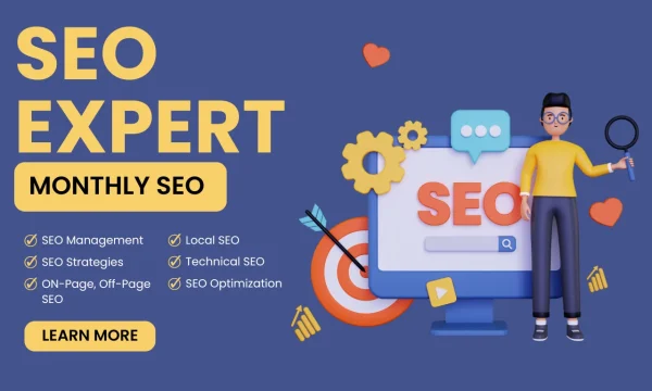 Expert monthly onpage SEO services or local website optimization